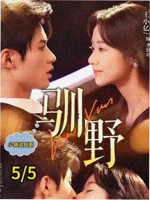 完结小说榜单第六名封面